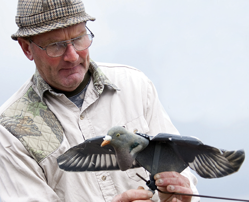 pigeon shooting rotary