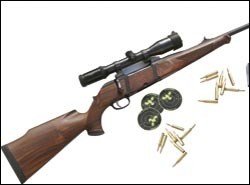 Krico Model 902 rifle