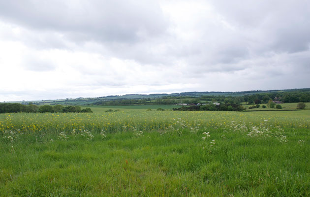 GWCT Loddington shoot