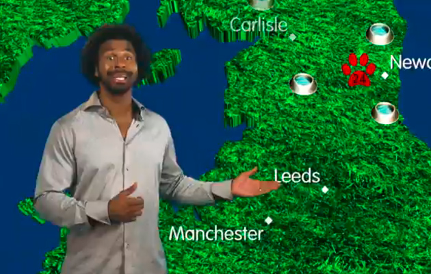 david haye dog forecast