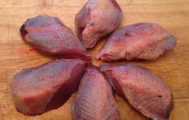 pigeon breast