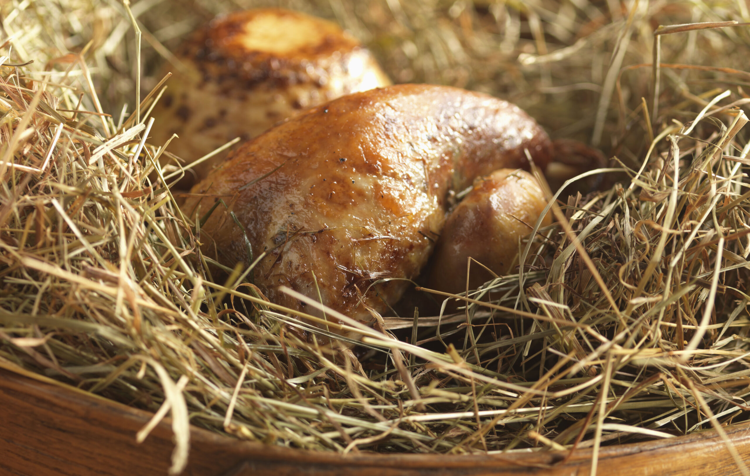 Hay baked pheasant