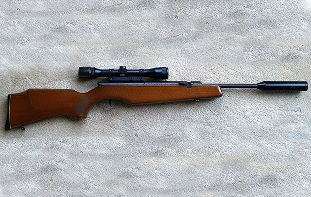 air rifle