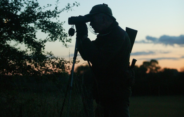 deer stalking