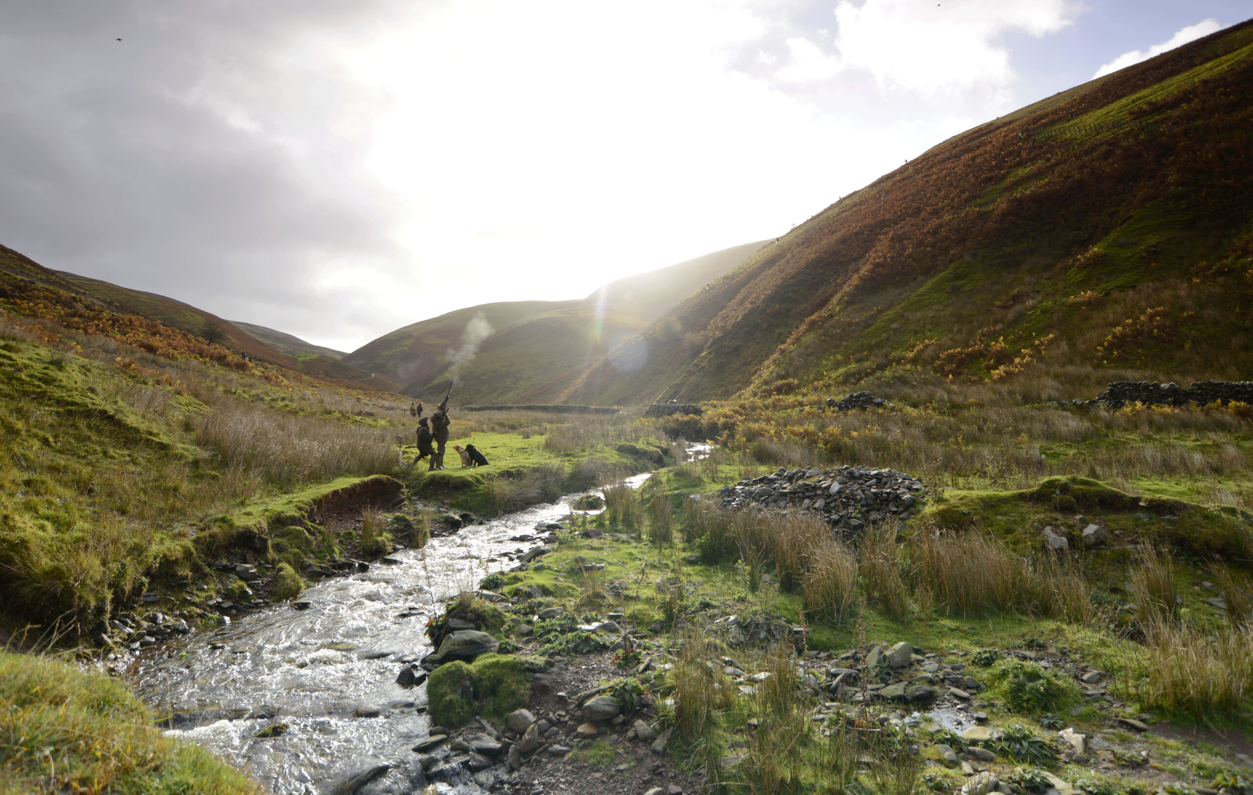 Drumlanrig partridge shoot