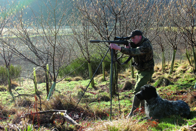 position for rifle shooting