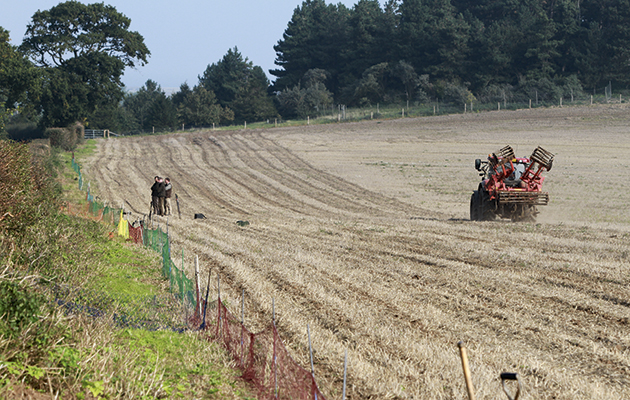 Industrial Ferreting on an ancient hedgerow