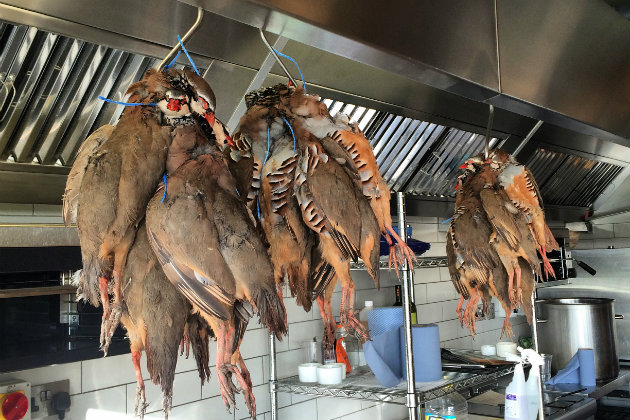 red legged partridges