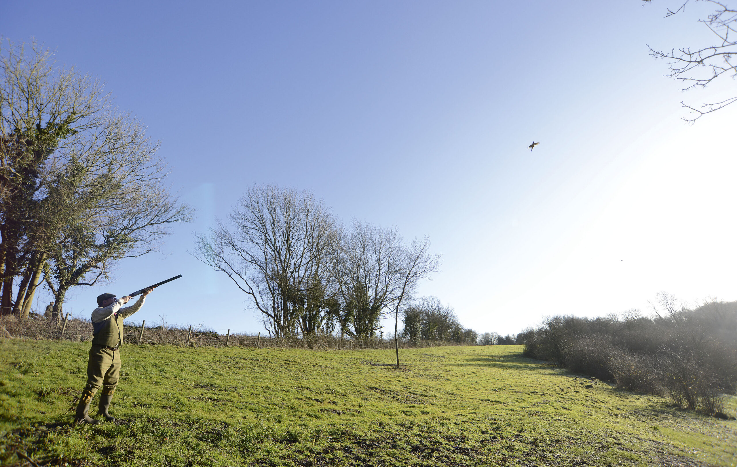 Shooting etiquette low birds