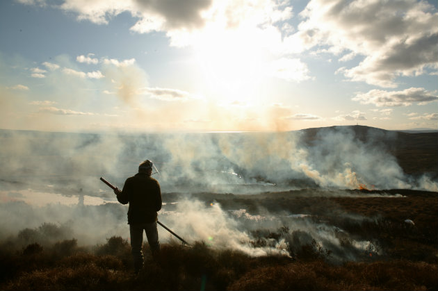 Burning moorland