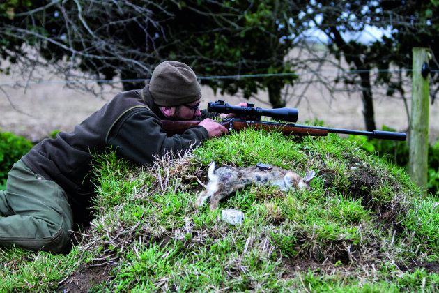 man shooting .17HMR