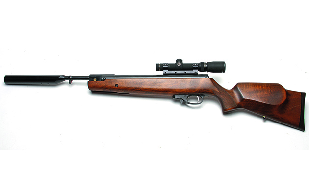 .25 calibre air rifle