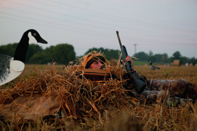 wildfowling in field