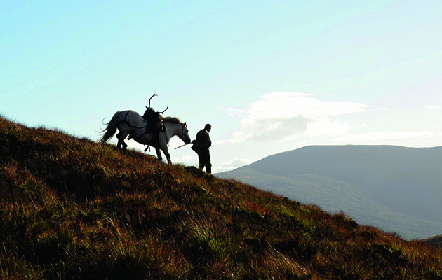 red stags