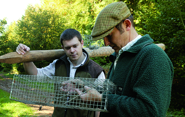 cage traps