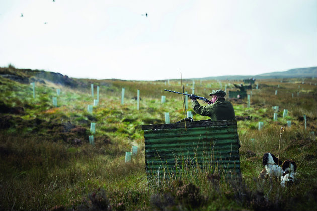 grouse shooting