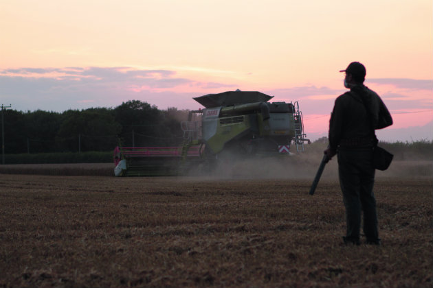 shooting behind combine harvester