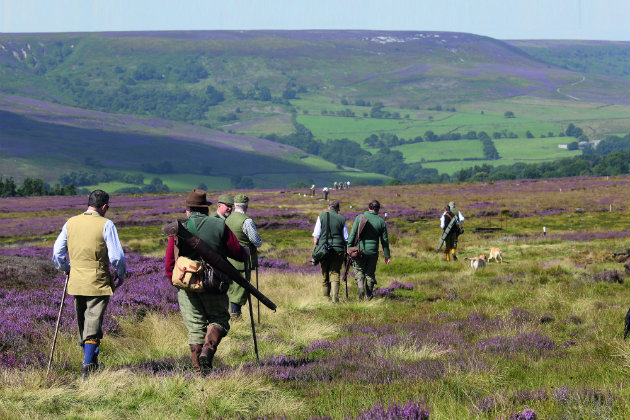 on grouse moor