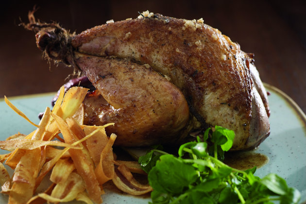 Roast pheasant