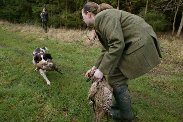 Dog training with a whistle