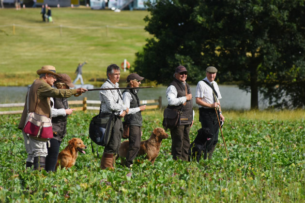 Gundog competition