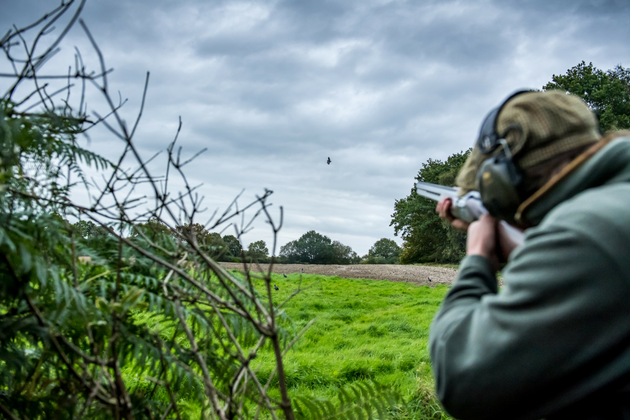 shoot pigeons with semi-auto