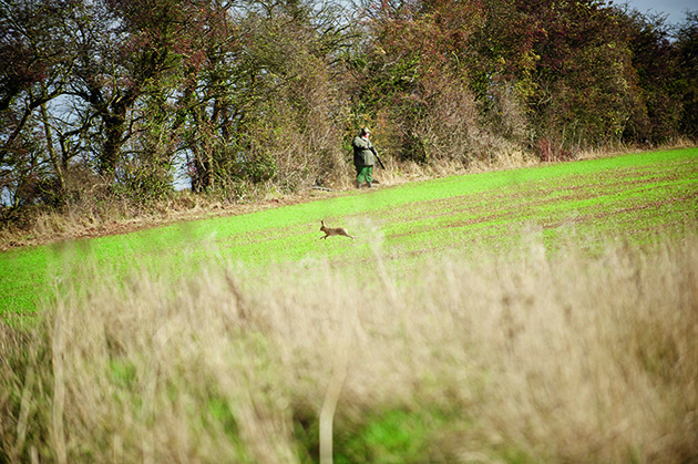 Ground game on rough shoot