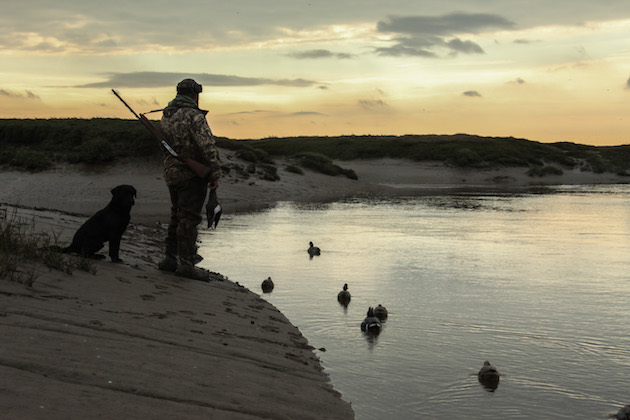 wildfowler on foreshore