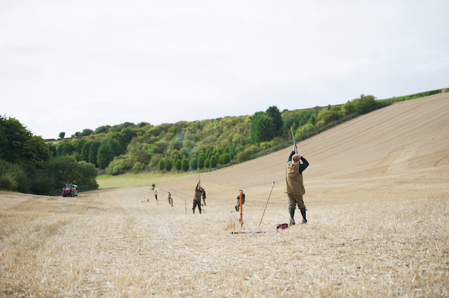 shooting in stubble