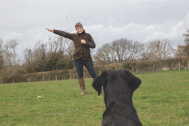 gundog hand signals