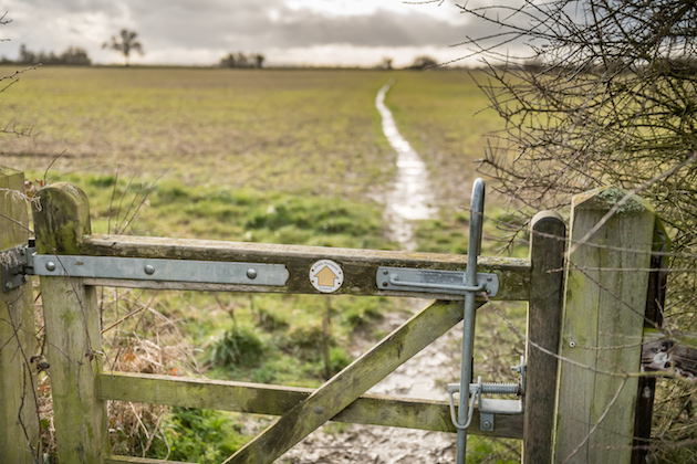 public footpath