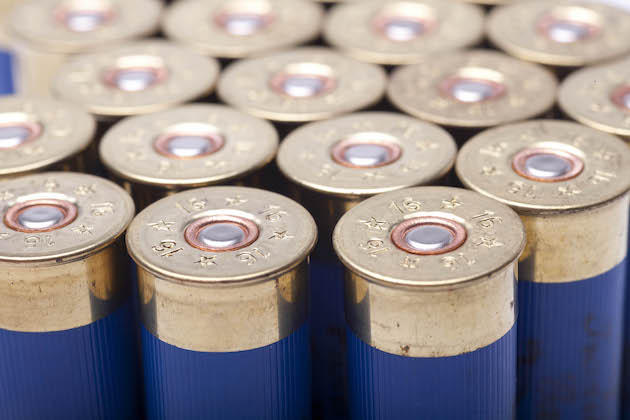 lead shotgun cartridges