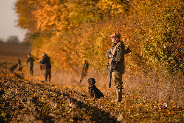 Suffolk shoot on an autumn day