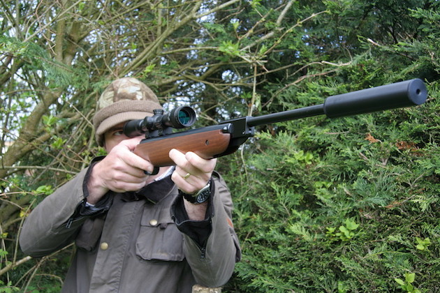 air rifle pest control