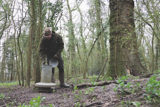 clear pheasant pens of rats