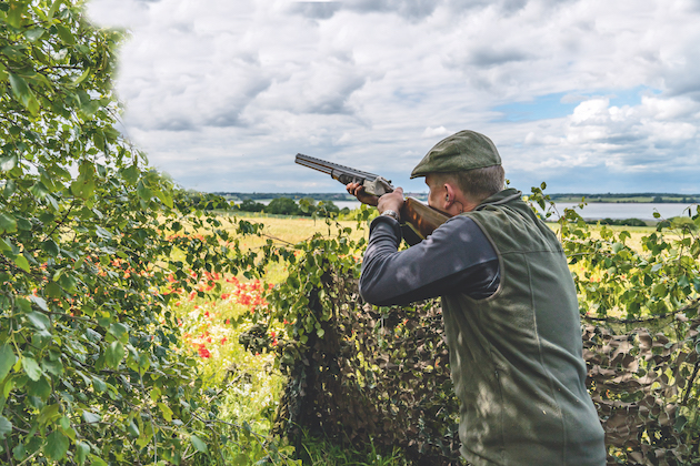 pigeon shooter