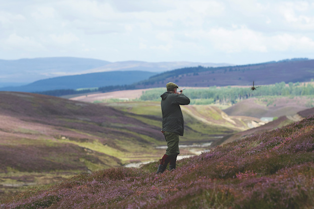 grouse shooting