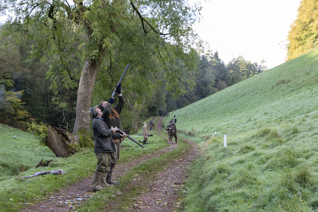 Coombe Sydenham Shoot