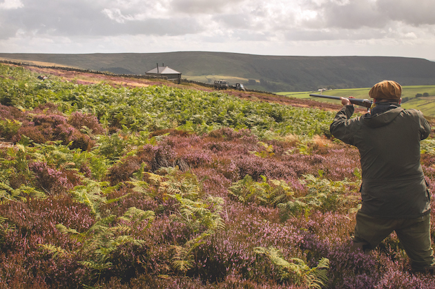 Grouse moor