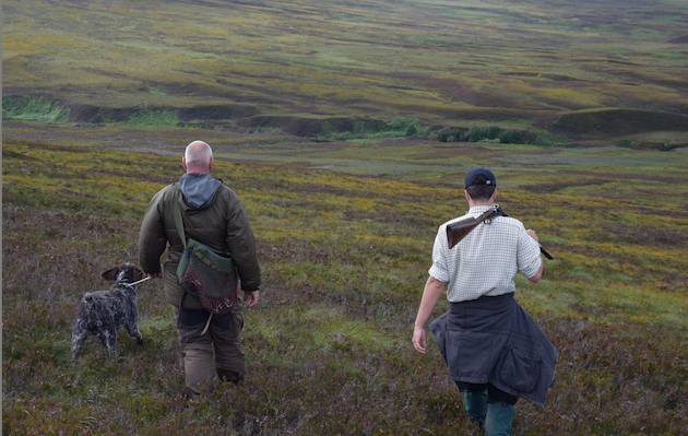 grouse shooting photographs