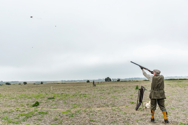 Partridge shooting