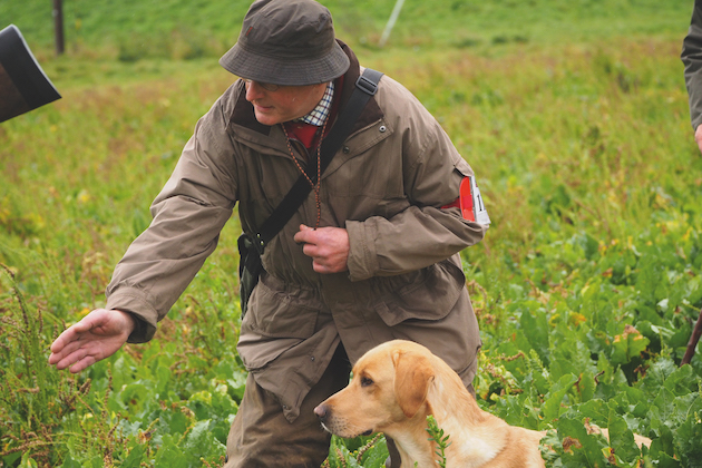 field trials