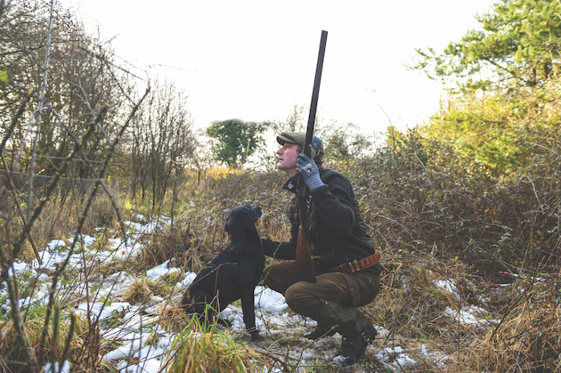 Shooter with gundog