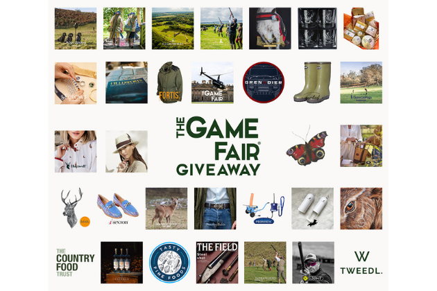 Game Fair Giveaway