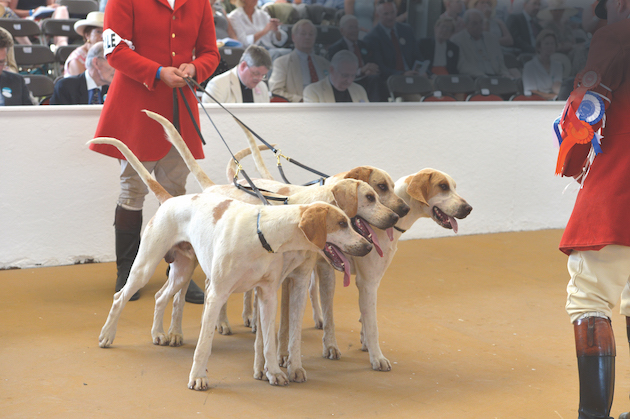 Festival of Hunting