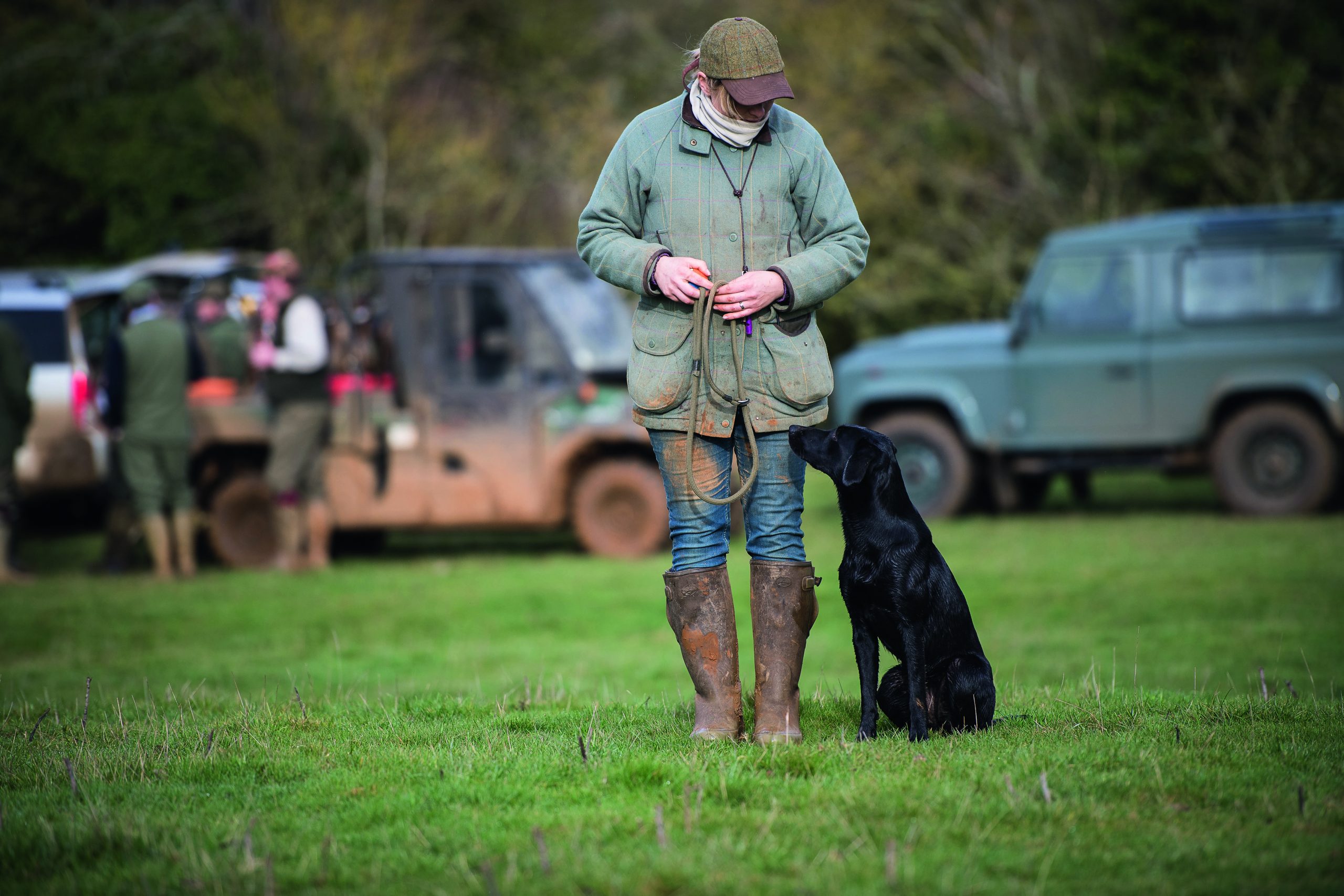 Gundog training