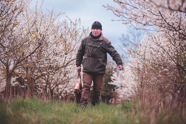 Stalker with muntjac