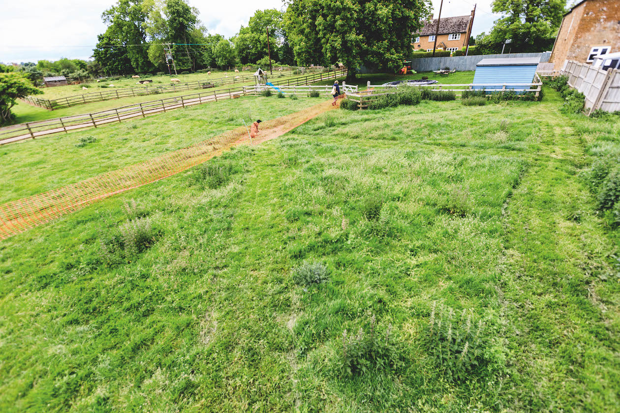 mown paddock for gundog training