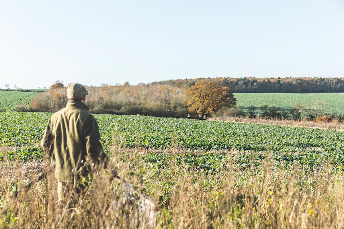 best tweed shooting coats