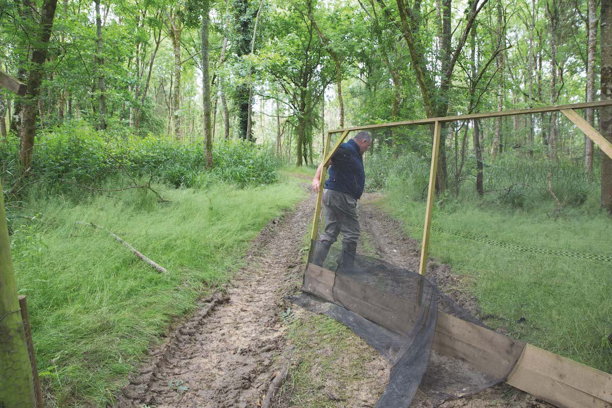 pheasant release pens